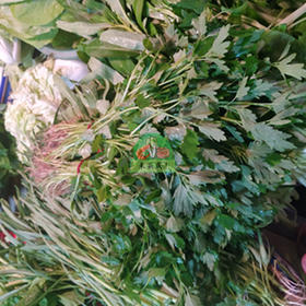 益母草