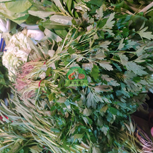 益母草 商品图0