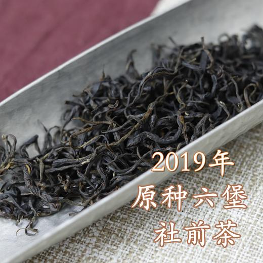 2019年 原种六堡社前茶（150g/罐）六堡聚私房茶 商品图1
