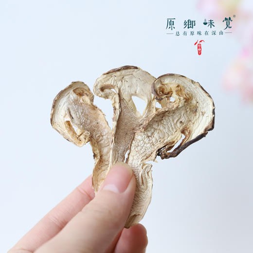 稻城松茸干片（成都仓库-顺丰快递） | 50g/罐，来自四川稻城，生产者：赵彪【合作生产，公平贸易】 商品图2