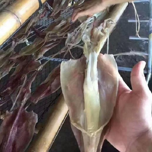 【海货精选】东山海鲜•带着卵的母鱿鱼 原生态晾晒工艺 不加盐 不添加色素 月子餐必备 商品图2