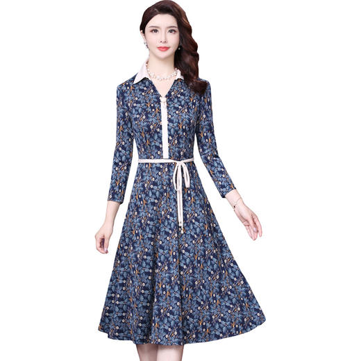 WXY-L132W春新款收腰显瘦碎花连衣裙 商品图3