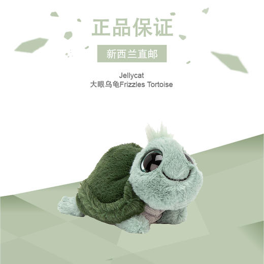 jellycat 大眼乌龟frizzles tortoise