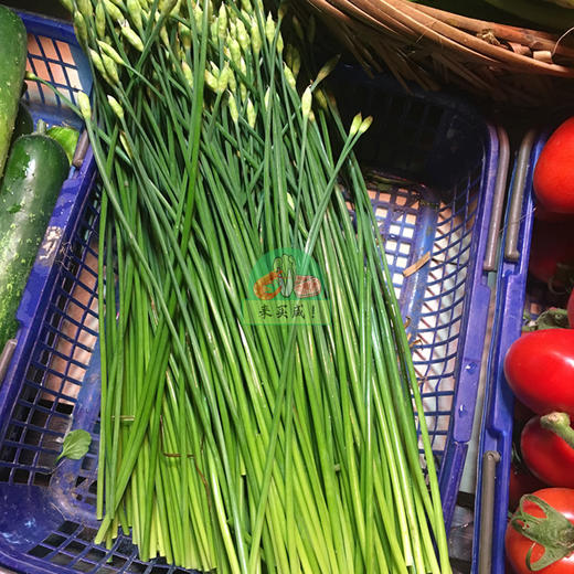 本地韭菜花 商品图0