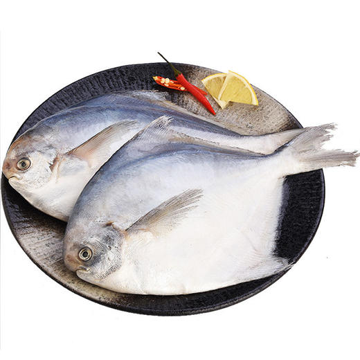 大斗鲳  港岛姑娘 海捕活冻 商品图2