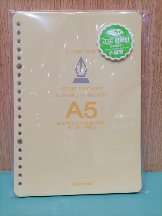 道林A5-100页笔记本内页2099B 商品图0