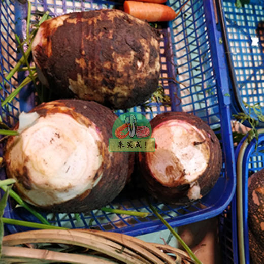 芋头 商品图0