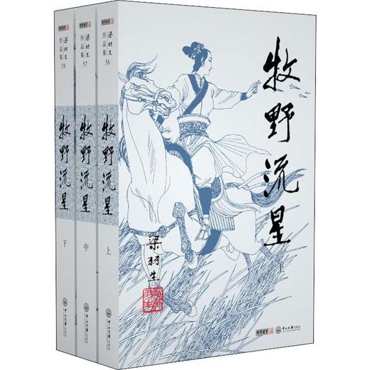 牧野流星(3册) 商品图0