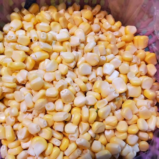 玉米粒 商品图1