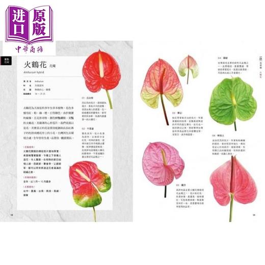 中商原版 花艺素材百科600种切花干燥花永生花材完全图鉴港台原版陈根旺麦浩斯 中商进口商城