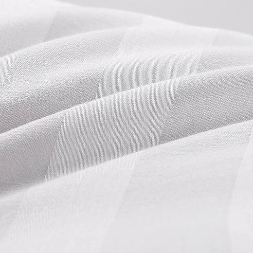 五星舒适羽毛枕(一对) 商品图2