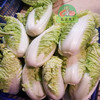 小白菜 商品缩略图0