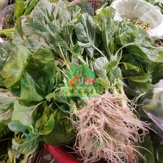 苋菜（蟹菜） 商品图0
