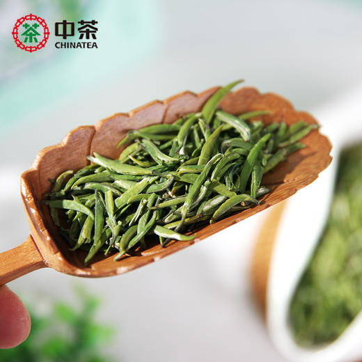 2024中茶绿雀舌绿茶80g早春绿茶 商品图4