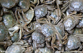 【23.6元2斤】公河蟹 仅限15号上午自提 过期作废（1501008）