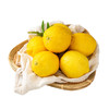 【尤力克黄柠檬 3斤】|  果实饱满，酸爽多汁，黄色的果皮包裹着嫩嫩的果肉，打开瞬间就能闻到柠檬的清香，满是酸爽好滋味 商品缩略图3