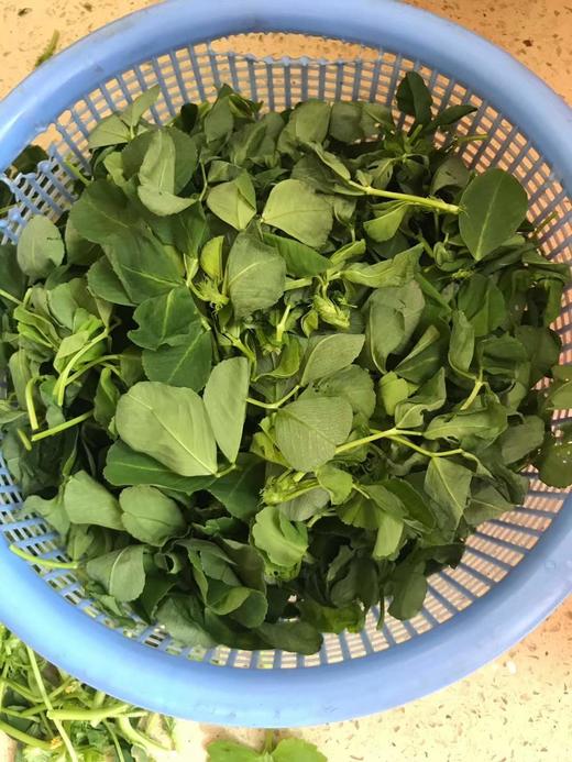 时令蔬菜套餐（8份蔬菜，每份350克，新鲜采摘） 商品图11