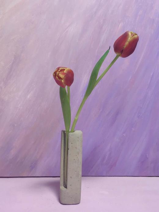 荷兰进口郁金香（10枝装） 商品图3