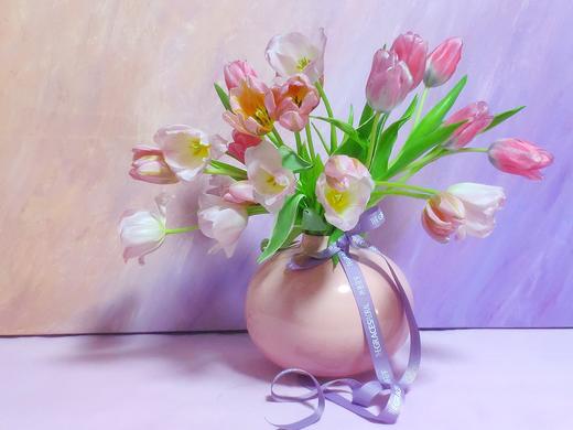 荷兰进口郁金香（10枝装） 商品图1