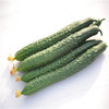 黄瓜（青瓜） 商品缩略图0