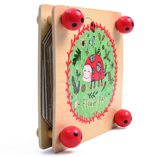 mideer压花器标本夹 商品图2