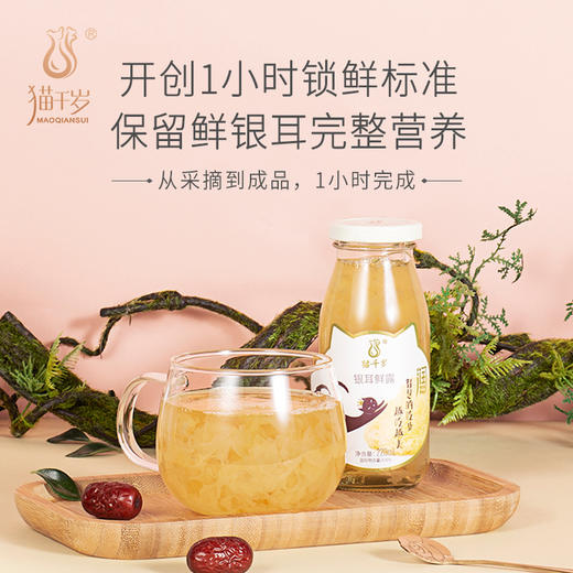 猫千岁即食银耳红枣枸杞羹鲜炖饮料非冲泡干货代餐营养滋补品瓶装 商品图3