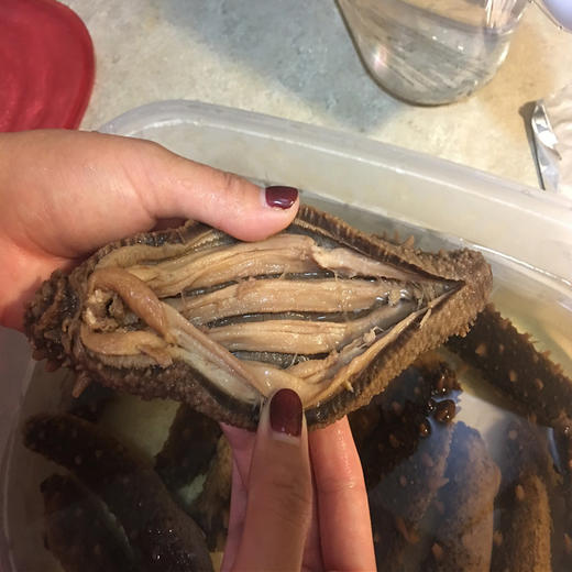 进口阿拉斯加海参野生干红刺参1磅1盒 #宁波仓 商品图3