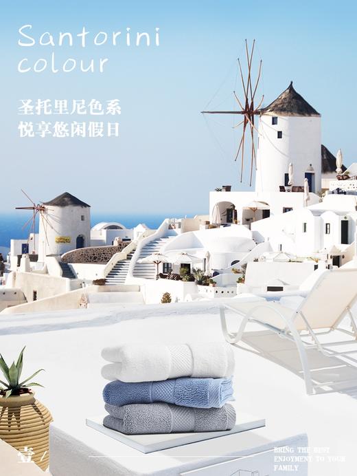 三利酒店大毛巾纯棉洗脸家用柔软成人全棉吸水加大加厚面巾 3条装 商品图1