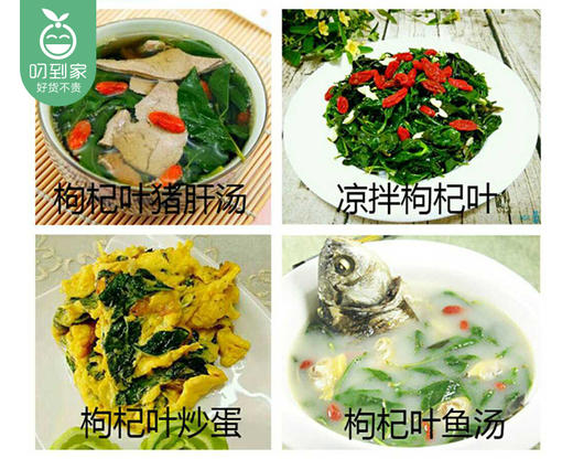 【叼鲜蔬】漳州新鲜枸杞叶/1份（约100g） 商品图1