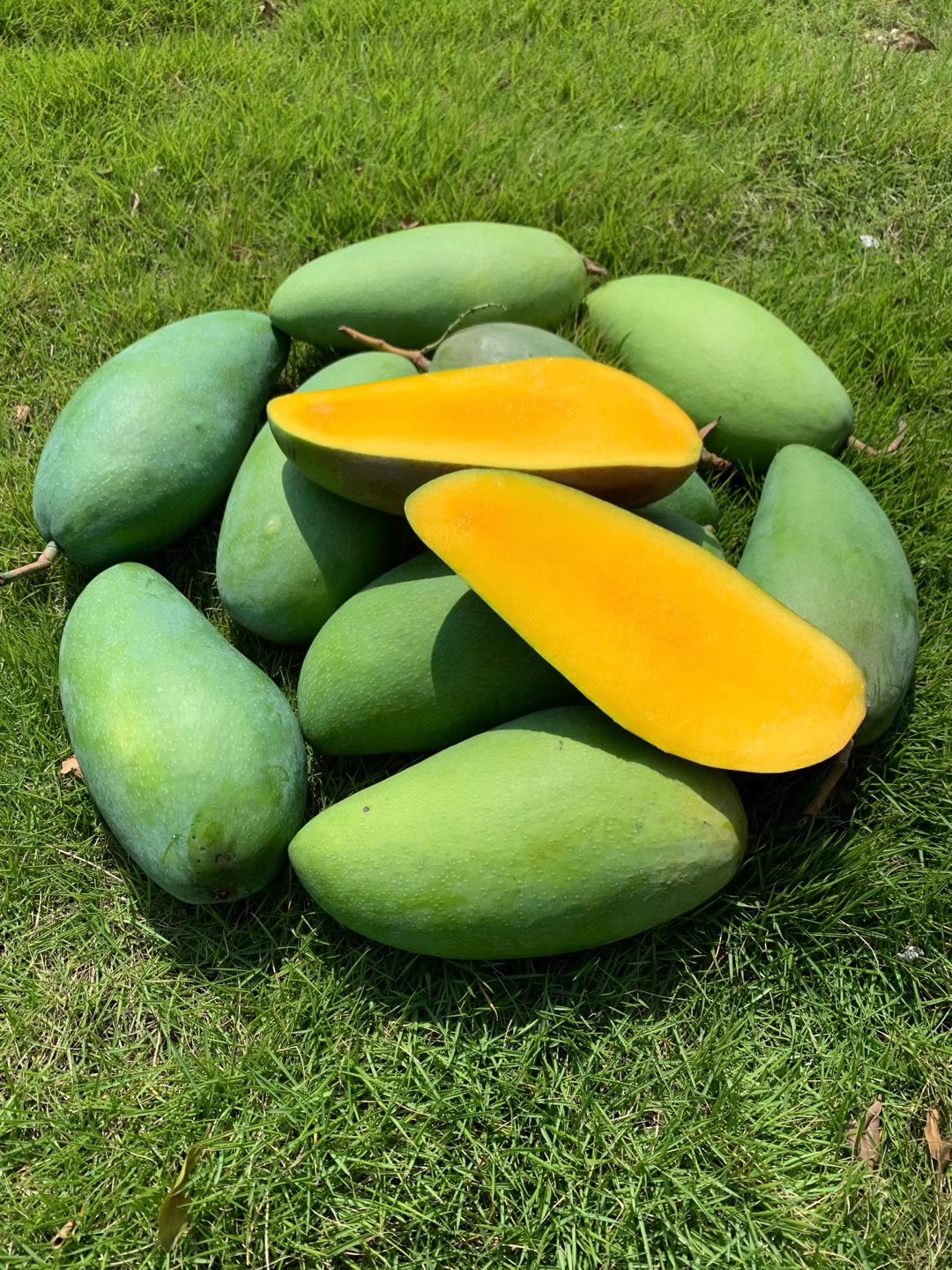 青芒新鲜孕妇水果现摘现发当季甜心8.5-9斤包邮