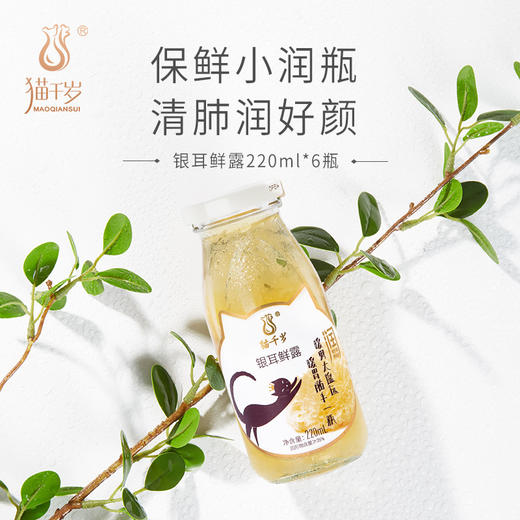 猫千岁即食银耳红枣枸杞羹鲜炖饮料非冲泡干货代餐营养滋补品瓶装 商品图0