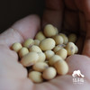 生态黄豆（郾城产区）  | 合作生产* Eco- soybean  | Coproduction 商品缩略图1