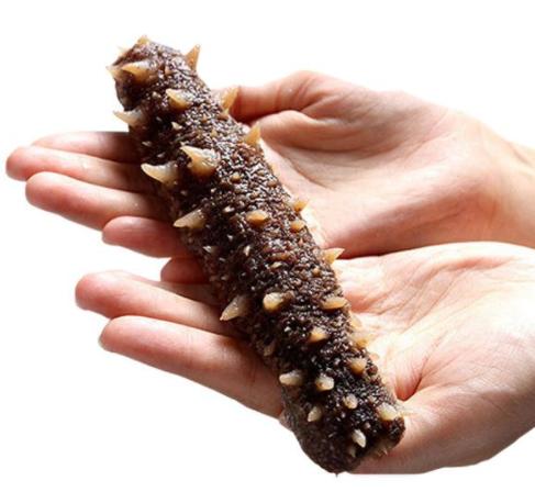 冰冻阿拉斯加冰鲜刺参海参【2磅装】一磅454克 #上海仓 商品图1