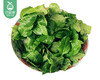 【叼鲜蔬】漳州新鲜枸杞叶/1份（约100g） 商品缩略图3