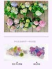 花彩小可爱绣球 商品缩略图2