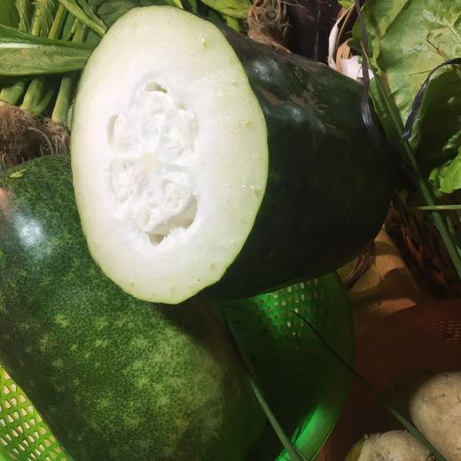 新溪本地冬瓜 商品图0