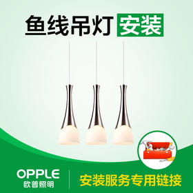 【安装服务】鱼线吊灯（头）——多尺寸选择