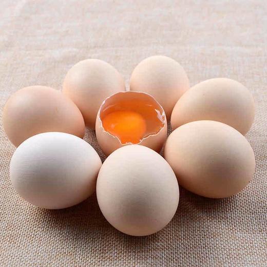 【溧城南山竹海跑鸡蛋】 1箱，共30枚 商品图1