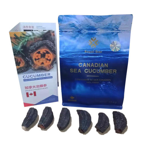 野生北极参海参圆筒参多规格 1磅/袋#宁波仓 商品图1