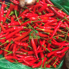 小红米辣椒