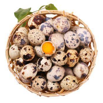 鹌鹑蛋约500g 商品图0