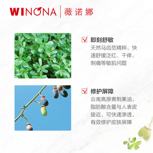 薇诺娜舒敏保湿特护霜50g 商品图5