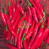 红辣椒 商品缩略图0
