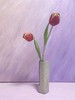 荷兰进口郁金香（10枝装） 商品缩略图2