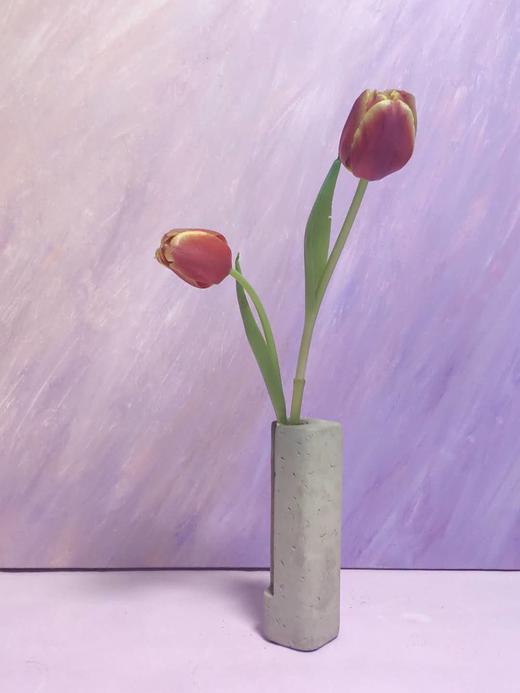 荷兰进口郁金香（10枝装） 商品图2