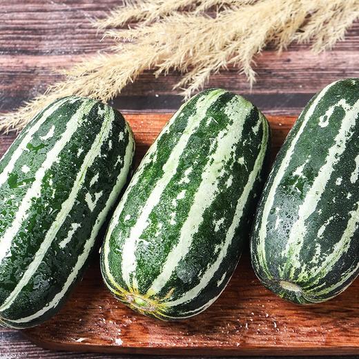 特价博洋9号甜瓜玻璃脆脆甜多汁新鲜水果