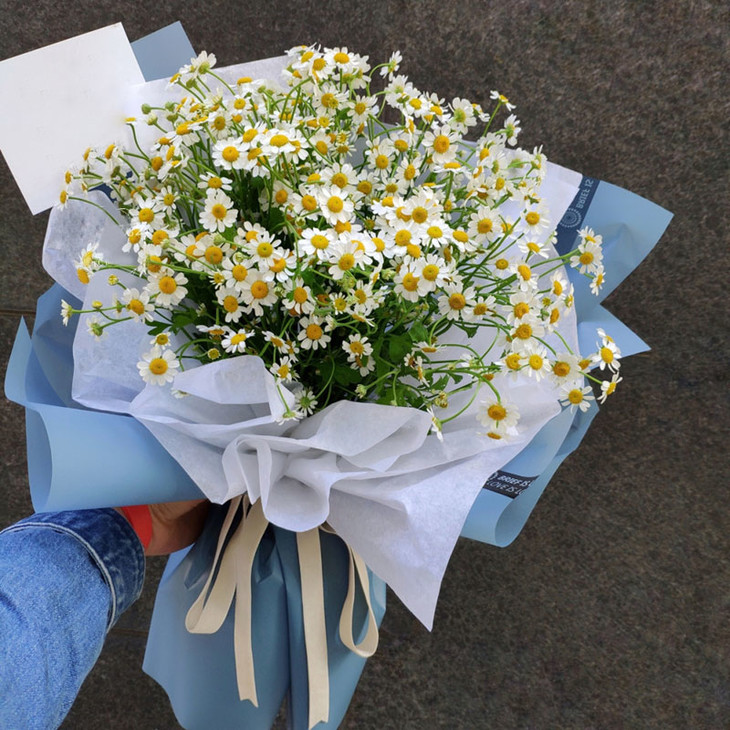 洋甘菊洋牡丹花束寓意逆境中隐忍苦难给予的力量生日祝福感谢感恩鼓励