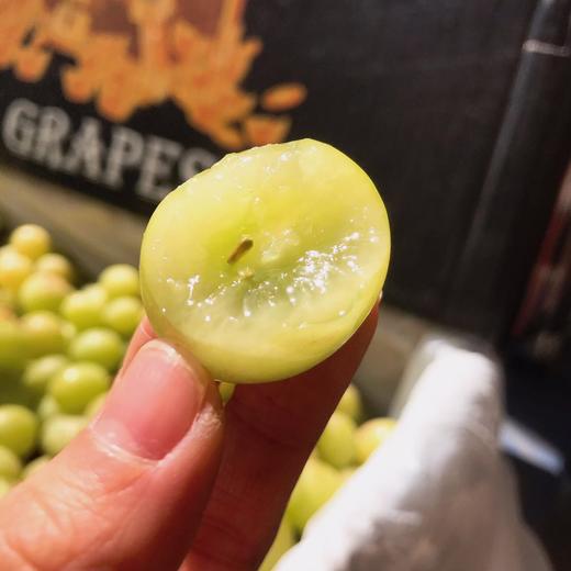 江浙沪皖包邮澳洲秋天酥秋田酥青提无籽青提脆甜可口新鲜脆甜泡沫箱