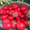 本地番茄 商品缩略图0