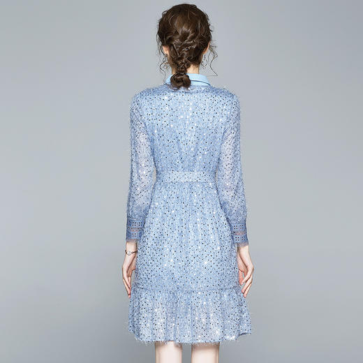 BHS-120104002新款品质款超仙流苏毛须亮片长袖A字连衣裙 商品图3